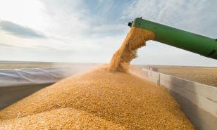 La cosecha mundial de cereales alcanzará nuevos récords este año con un comercio convulso