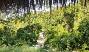 Áreas protegidas privadas: ¿un posible aliado para conservar a la naturaleza?