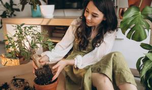 Los secretos del cuidado de las plantas en temporada de calor