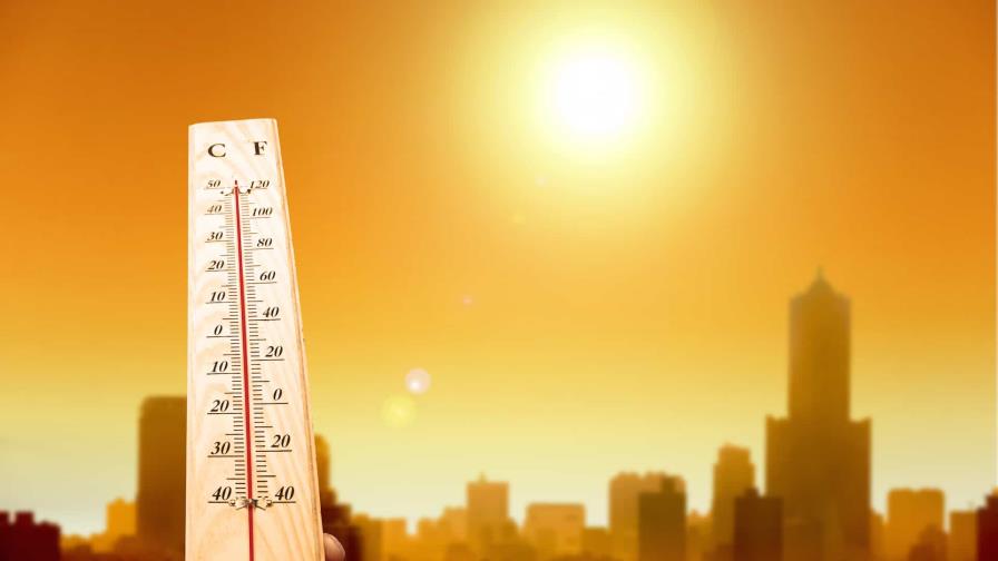 La ola de calor y sus efectos en el medio ambiente