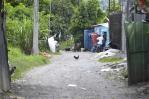Urge aumentar agentes policiales en Rancho Arriba Urge aumentar agentes policiales en Rancho Arriba