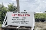 Florida enfrenta éxodo de trabajadores migrantes Florida enfrenta éxodo de trabajadores migrantes