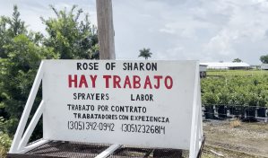 Florida enfrenta éxodo de trabajadores migrantes