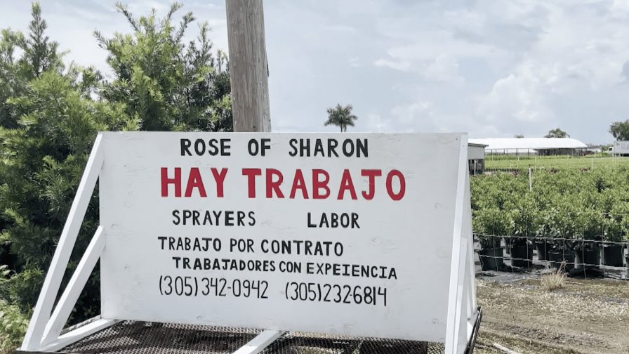 Florida enfrenta éxodo de trabajadores migrantes