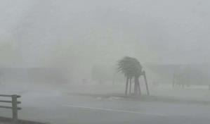 Un muerto y 200,000 hogares sin electricidad en Japón tras el paso de un tifón