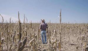Un escenario duro en el Corredor Seco de Centroamérica, disminución de lluvia y El Niño