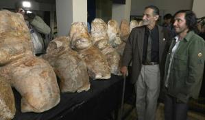 Ancestro peruano de la ballena azul podría ser el animal más pesado de la historia