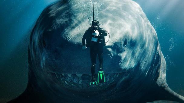 “The Meg 2: The Trench”, un estreno que emerge de las profundidades