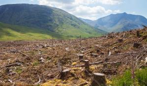 El planeta agota sus recursos naturales para todo 2023