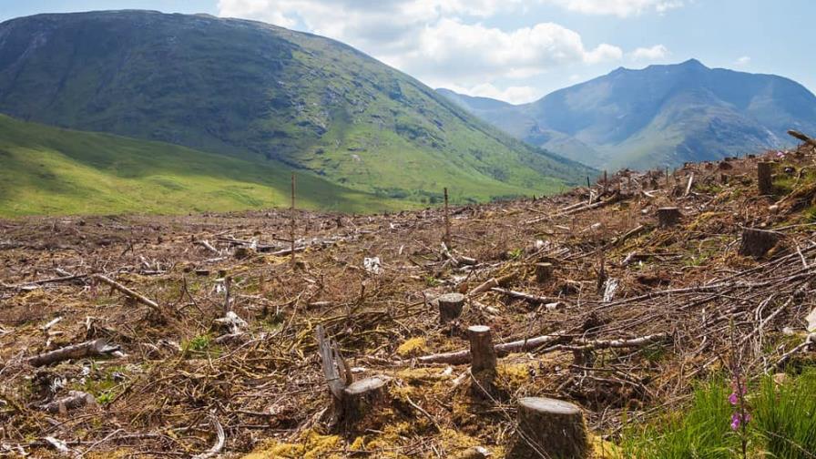 El planeta agota sus recursos naturales para todo 2023