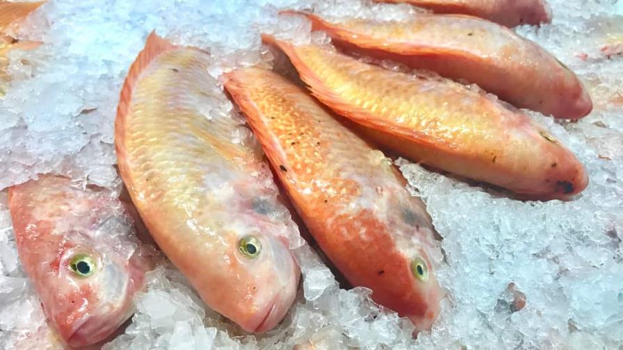 Acuicultores preocupados por la venta de pescado importado