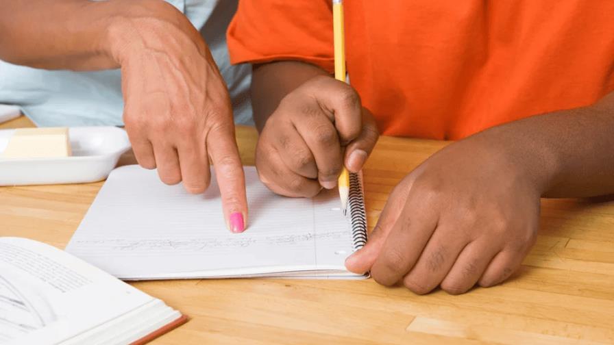Decreto | Abinader traspasa el Plan Nacional de Alfabetización al Ministerio de Educación
