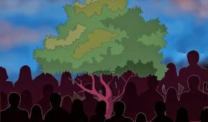 Un árbol para Pedrito