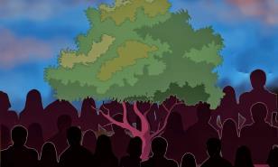 Un árbol para Pedrito