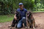 ¿Cómo evitar que un perro sea agresivo? ¿Cómo evitar que un perro sea agresivo?