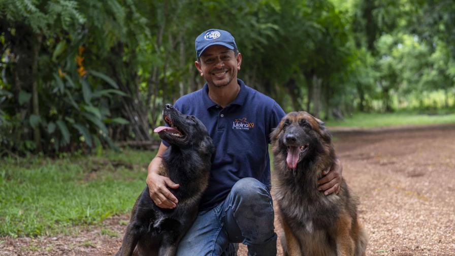 ¿Cómo evitar que un perro sea agresivo?