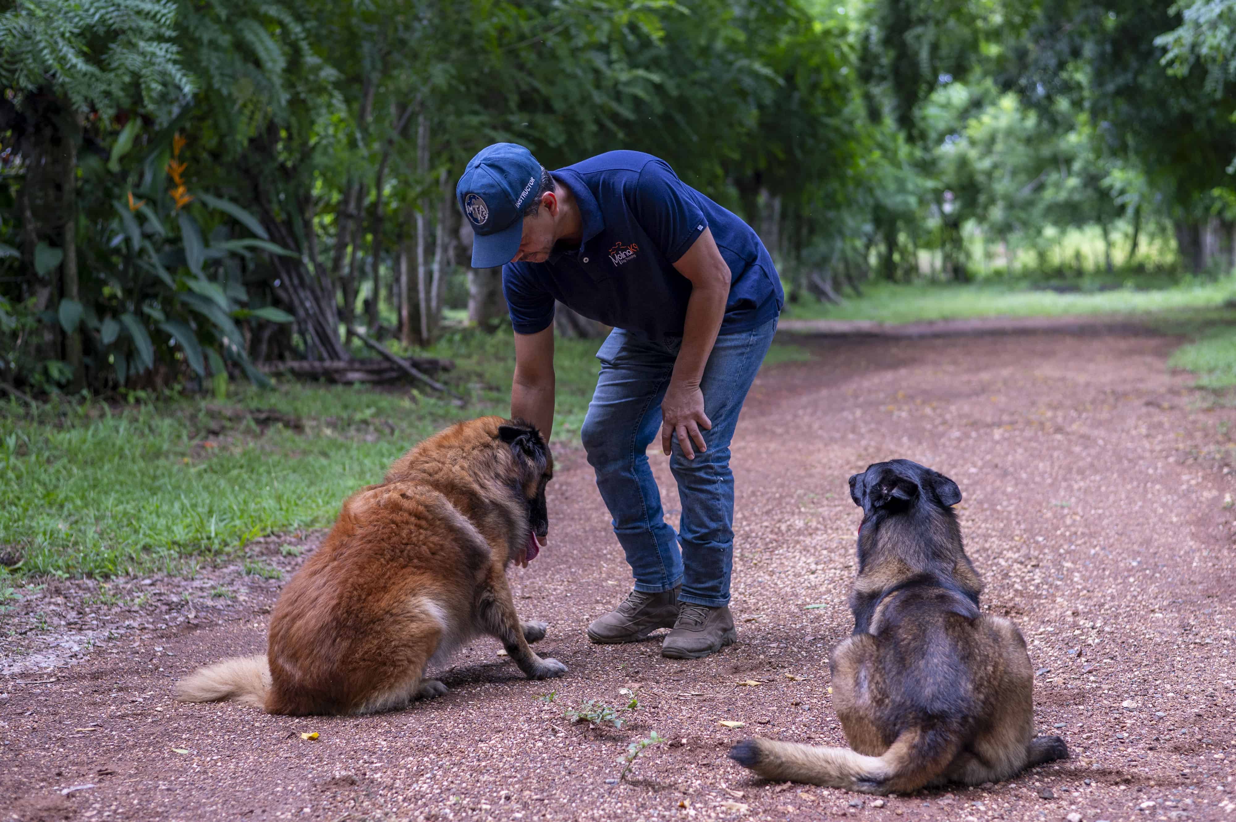 [object HTMLTextAreaElement]