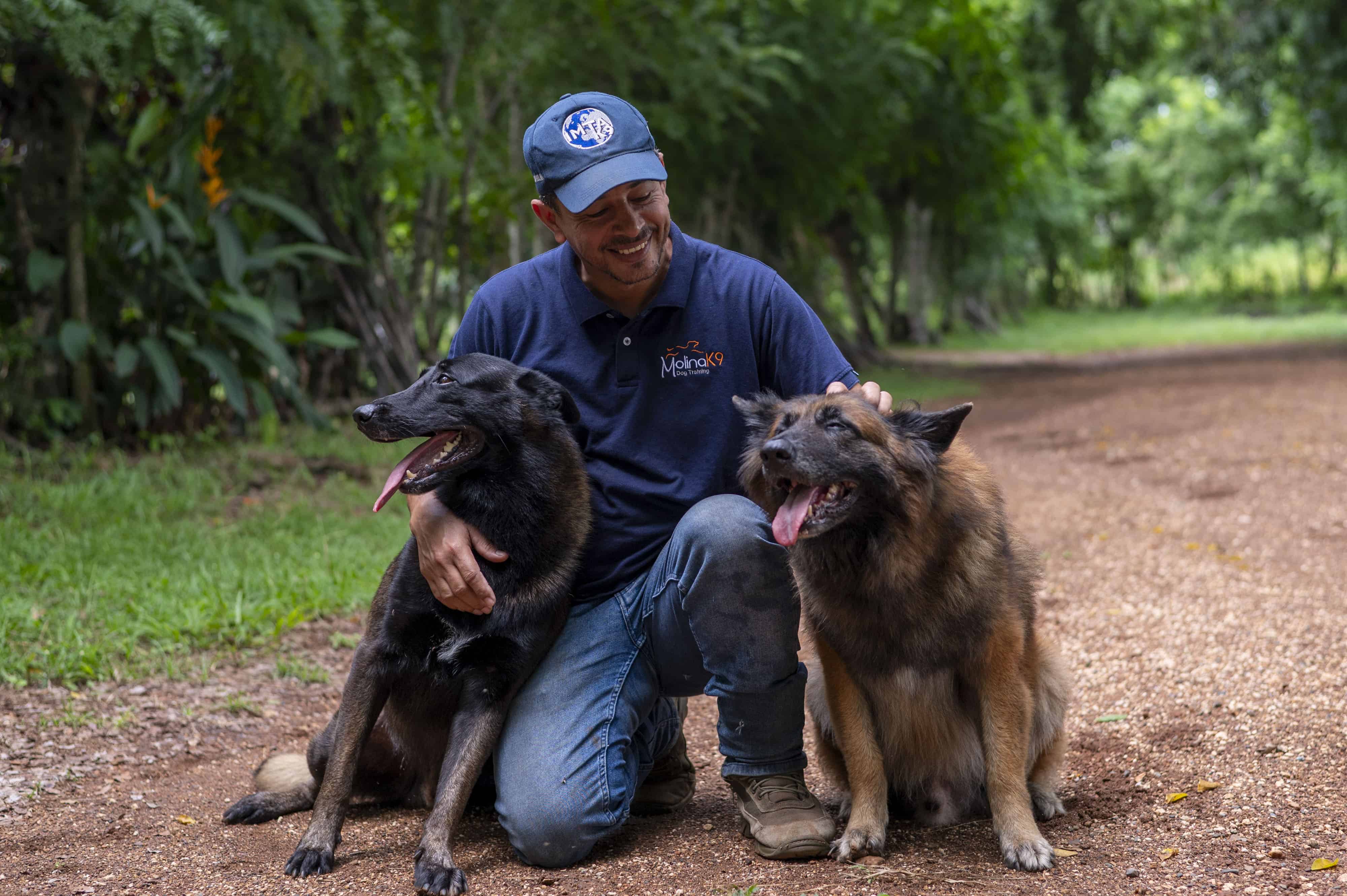 [object HTMLTextAreaElement]