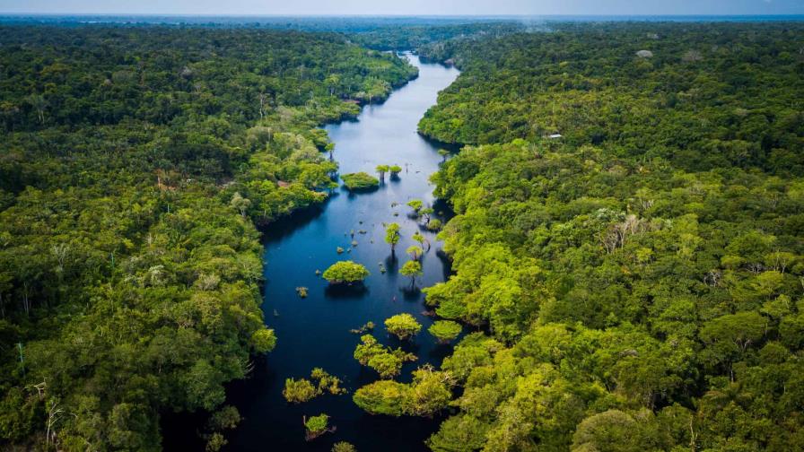 Llaman a reactivar la seguridad en la Amazonía