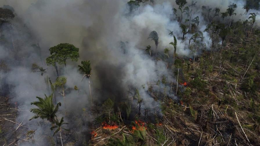 Los gobiernos se reúnen para hablar sobre la Amazonía. ¿Por qué es tan importante protegerla?
