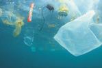 Registran menos vertido de plásticos en los mares Registran menos vertido de plásticos en los mares