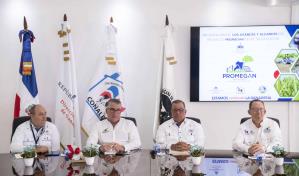 Siembran 88 mil tareas con pastos para ganado en programa estatal