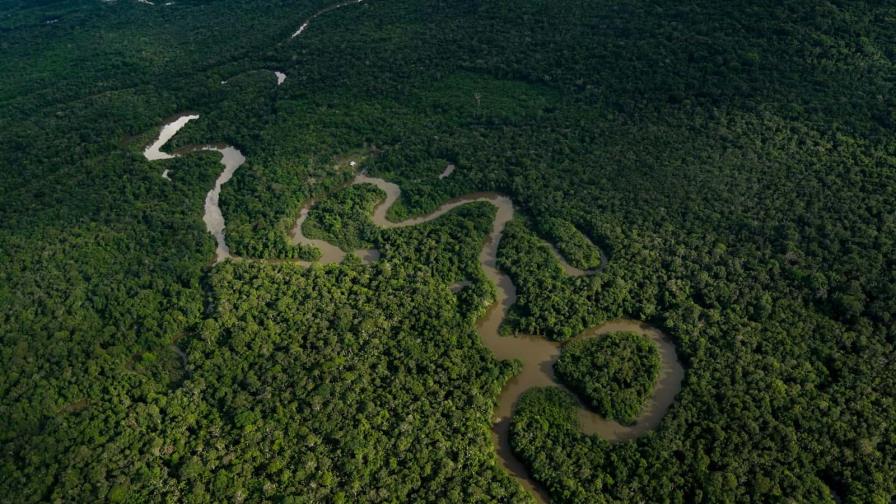 Países amazónicos acuerdan lanzar alianza para combatir deforestación