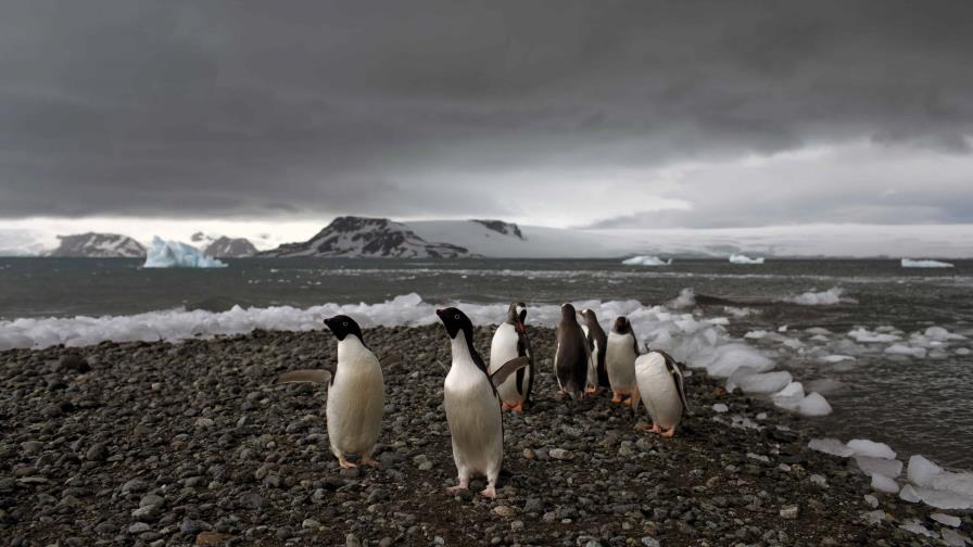 Fenómenos extremos en la Antártida: ¿qué está pasando?