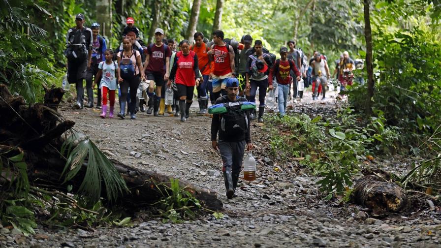 Policía de Panamá ha rescatado a 244 migrantes accidentados en selva del Darién este año