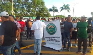 Comerciantes del Merca Santo Domingo protestan contra ventas de comida del Gobierno