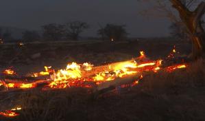 Maui revisa daños por incendio forestal más mortífero de EE.UU. en años