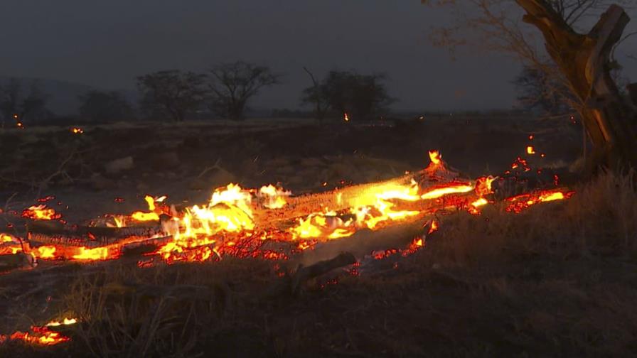 Maui revisa daños por incendio forestal más mortífero de EE.UU. en años