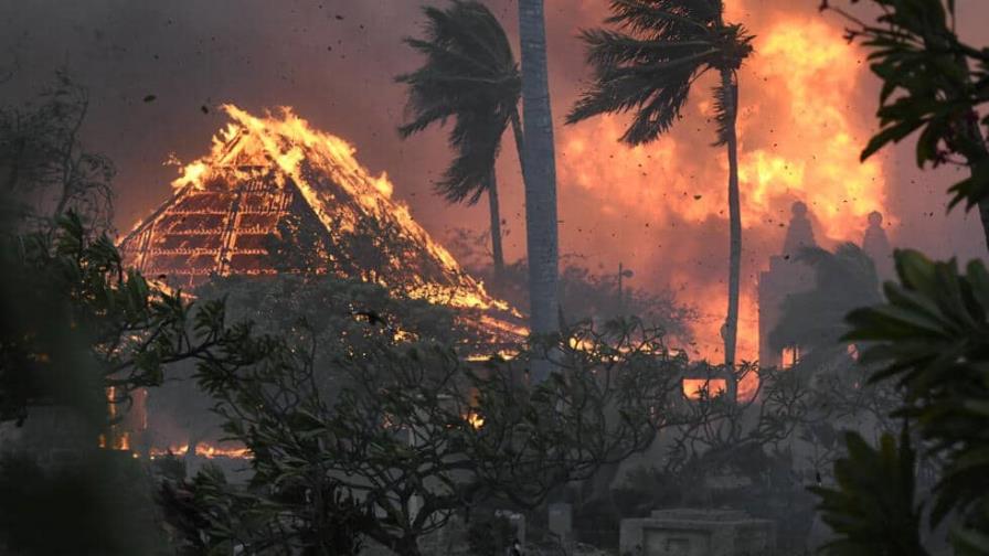 Los incendios forestales en Hawái dejan al menos 36 muertos