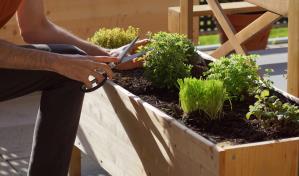 ¿Conoces el concepto de jardinería urbana?