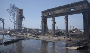 Los incendios impactarán el paisaje y el medio ambiente en Hawái