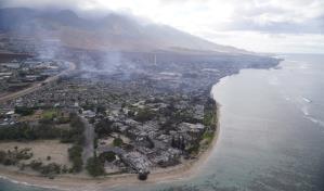 Perros buscan los cadáveres de centenares de desaparecidos por incendios en Hawái