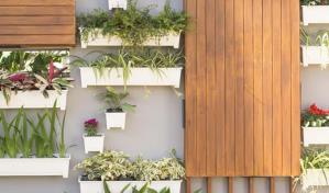 Jardines verticales: la tendencia que transforma tus espacios