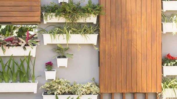 Jardines verticales ✓ Guía para descubrir todo sobre los muros verdes