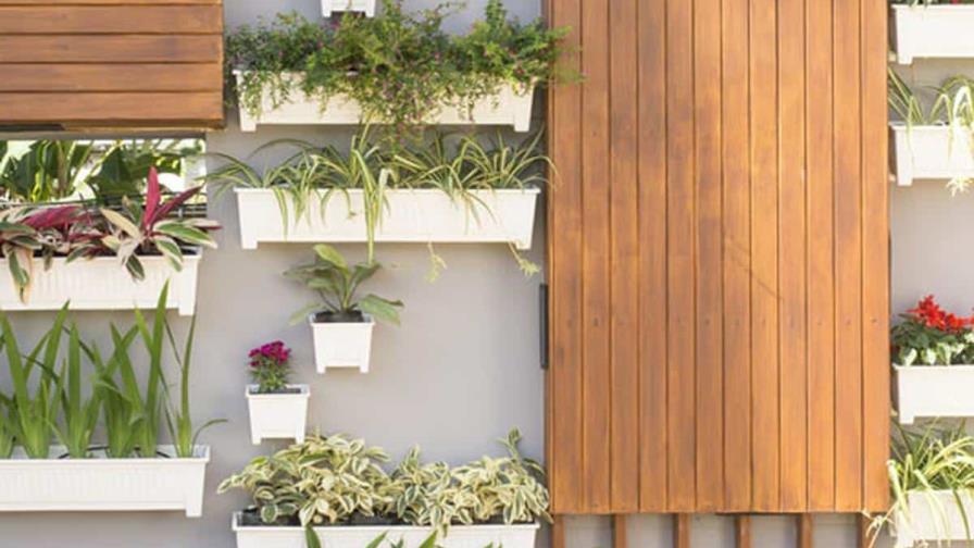 Jardines verticales: la tendencia que transforma tus espacios