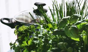 Cultivo de hierbas: aromas y sabores frescos en tu cocina