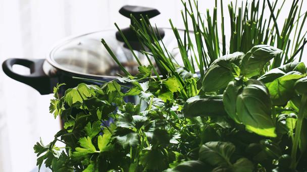 Cultivo de hierbas: aromas y sabores frescos en tu cocina