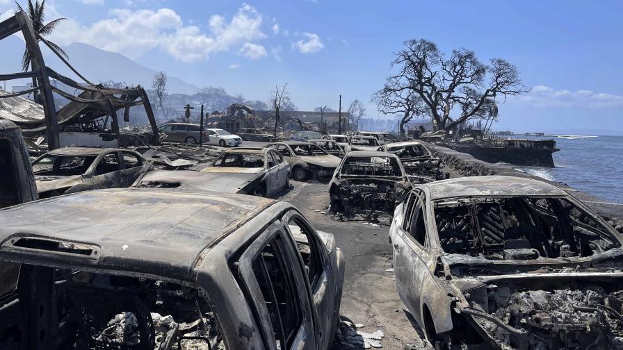 Matt Blackett: Los incendios de Hawái son un fenómeno muy raro, ligado al cambio climático