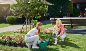 Espacios verdes: cómo convertir tu patio 