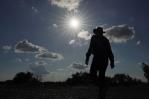 Julio fue el mes más caluroso de la historia y en 2024 hará más calor, advierte la NASA Julio fue el mes más caluroso de la historia y en 2024 hará más calor, advierte la NASA