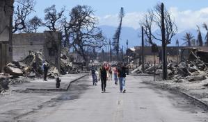 Cables eléctricos derribados, la posible causa de los mortíferos incendios en Hawái