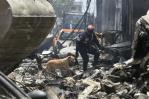 Chito, Zo y Bruno, los tres perros que buscan bajo los escombros víctimas de la explosión en San Cristóbal Chito, Zo y Bruno, los tres perros que buscan bajo los escombros víctimas de la explosión en San Cristóbal
