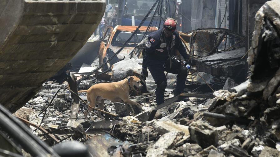 Chito, Zo y Bruno, los tres perros que buscan bajo los escombros víctimas de la explosión en San Cristóbal