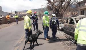Incendio en Hawái deja más de 100 muertes y podrían duplicarse, según autoridades