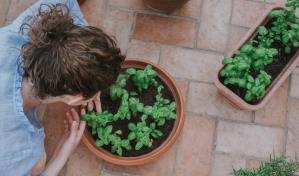 Cultiva un jardín de hierbas aromáticas en tu cocina