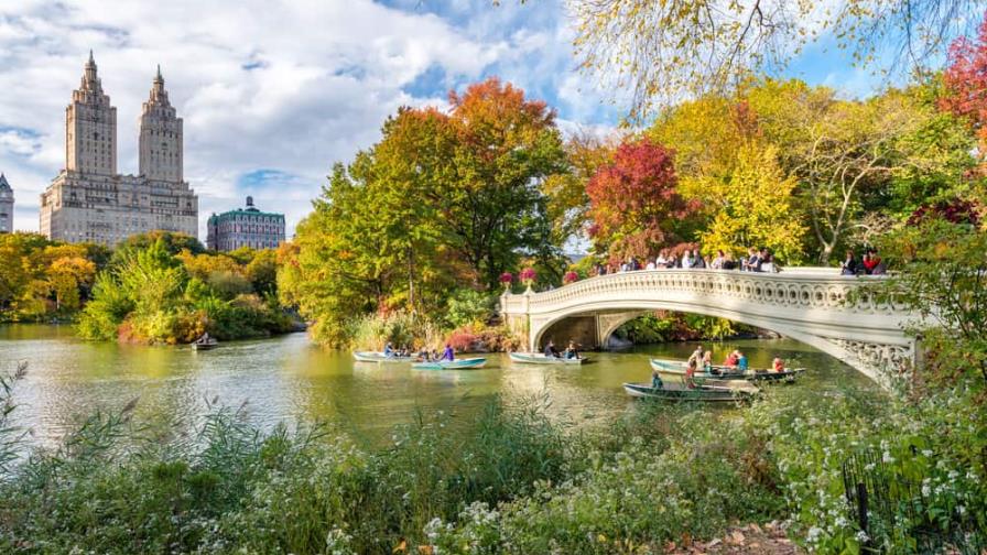 Incrementa presencia policial en Central Park debido a robos de celulares